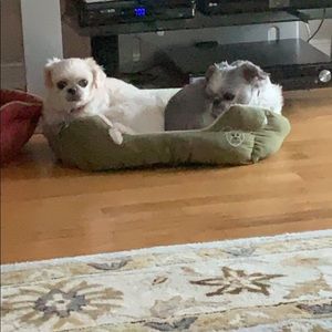 Meet your Posher, Jess